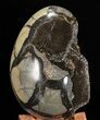 Septarian Dragon Egg Geode - Black Crystals #57458-2